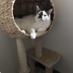 IMG_3690.jpeg