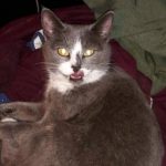 FB_IMG_1755939425099-1.jpg