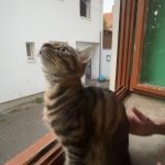 IMG_1444-1.jpeg