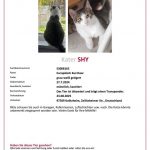 TASSO_Suchplakat_S3008165.jpg