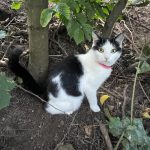IMG_3457-1.jpeg