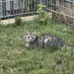 IMG_6785-1.jpeg