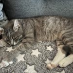 IMG_7344-1.jpeg