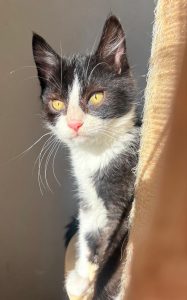 05b3b085 99b9 4ae2 8a4d 0145cae78bd5