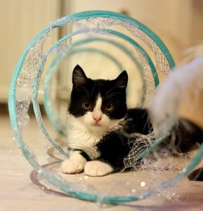 566c8ce1 8445 475a 923a 765999747a89