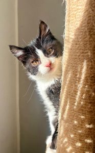 99ae0aa7 0579 4f51 9ab3 2217c709b488