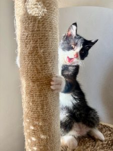 A237b158 3367 4e28 9c02 d4e833815816