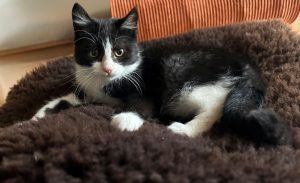 A319ea7b e8fc 45c9 82ad 1bee84e4ac30