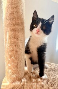 A4917a62 f75f 4b27 8bfe a35fafe2b571