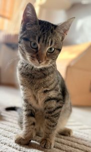 Ae806922 d6dc 48f1 82d2 9531a27de81d