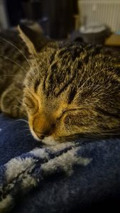 892b296e 7ef9 4dea 8a30 b977ac3b3e1c