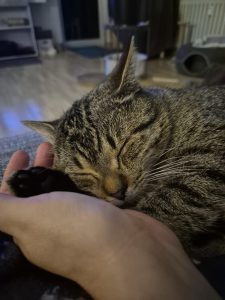 A9ea98b7 6770 4165 8cd5 52a182c272a5