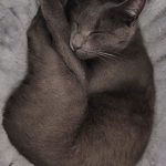 1000047480-1.jpg