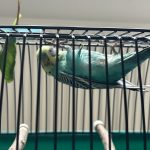 IMG_7761-1.jpeg