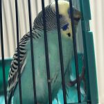 IMG_7763.jpeg