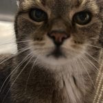 D4897FA0-6721-47D9-B1BF-F24BED9E8372-1.jpeg