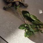 IMG-20260608-WA0002.jpg