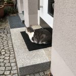 IMG_2258-0.jpeg