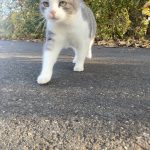 IMG_4993-1.jpeg