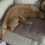 IMG_0824-0.jpeg