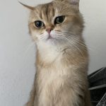 IMG_3778-0.jpeg