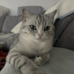IMG_4483.jpeg