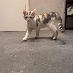 IMG_5412.jpeg
