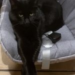 IMG_1815.jpeg