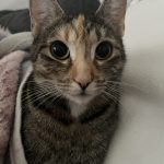 IMG_3715.jpeg