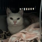IMG_6874.jpeg