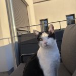 IMG_9308-1.jpeg