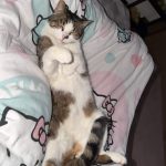 IMG_8893-1.jpeg