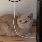 1000294396-0.jpg