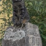 IMG_6730.jpeg