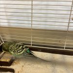 IMG_8593-0.jpeg