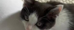 Img 20250826 wa0036