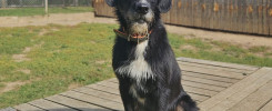 Loki2 hd26